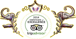 TripAdvisor Excellence Award 2014